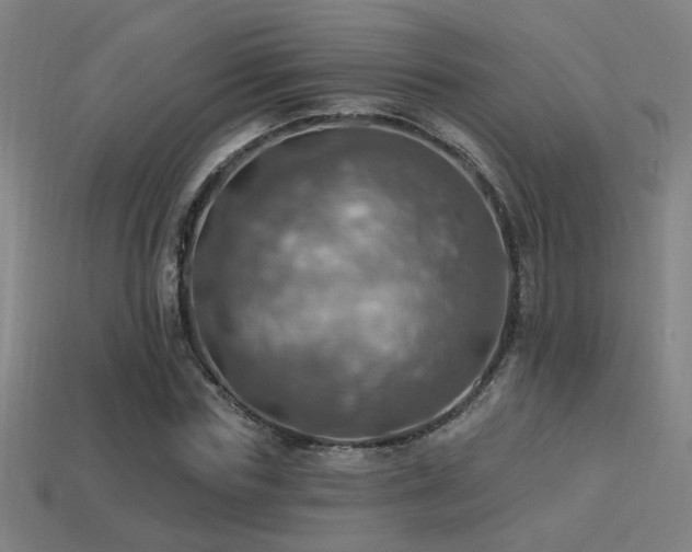 X0000114420827200910161226