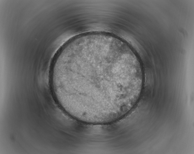 X0000114420828200910161226