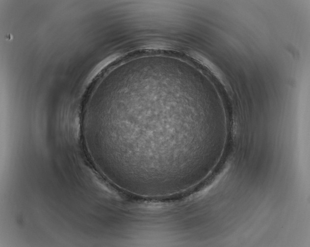 X0000114420829200910161226