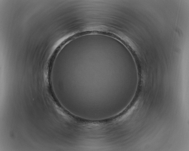 X0000114420830200910161226