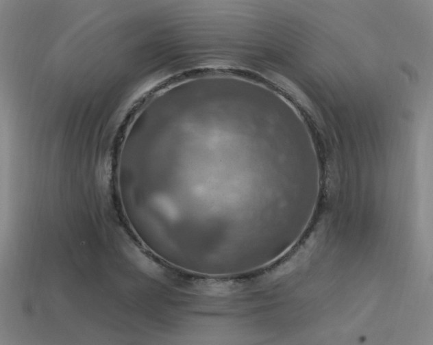 X0000114420831200910161226
