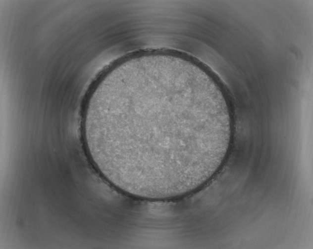 X0000114420832200910161226