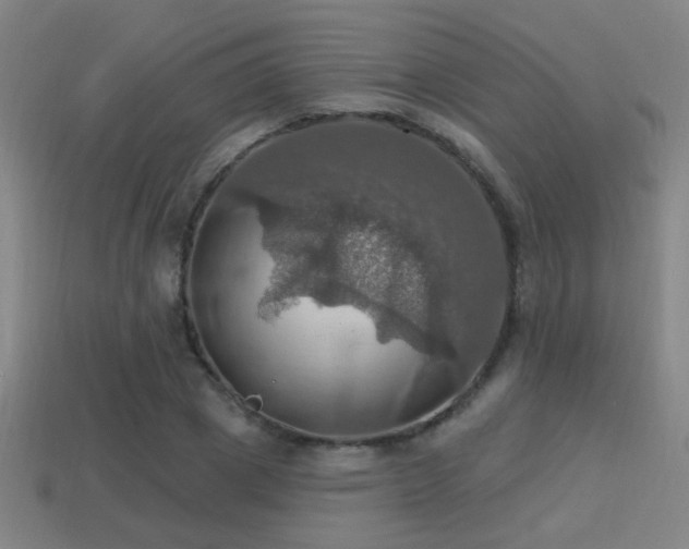 X0000114420833200910161226