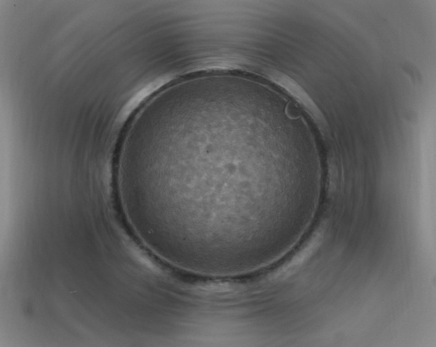 X0000114420834200910161226