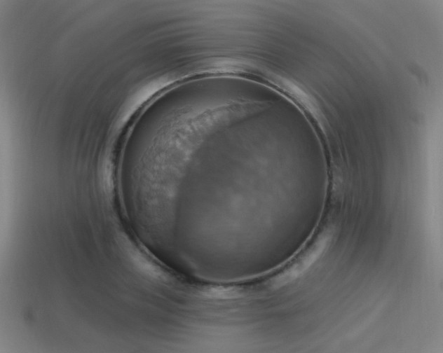 X0000114420835200910161226