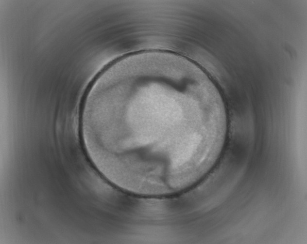 X0000114420836200910161226