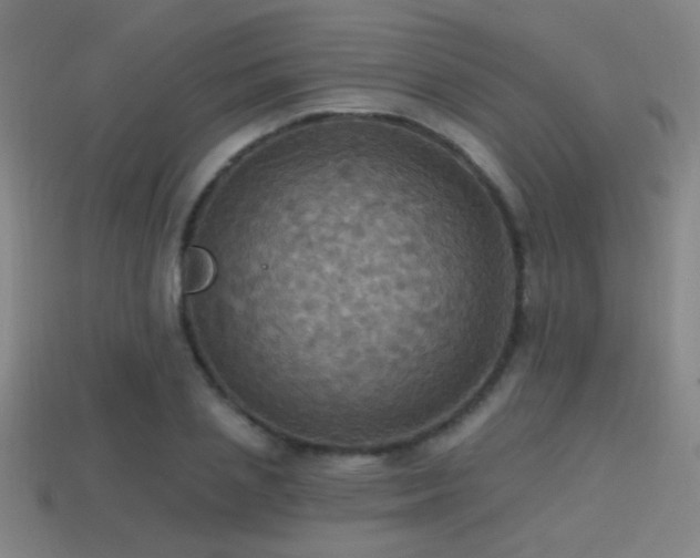 X0000114420837200910161226