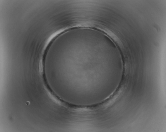 X0000114420838200910161226