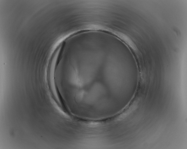 X0000114420839200910161226