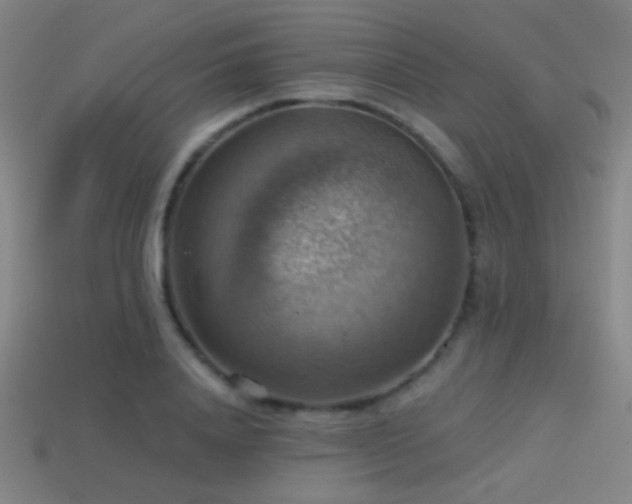X0000114420840200910161226