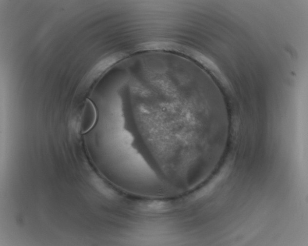 X0000114420841200910161226