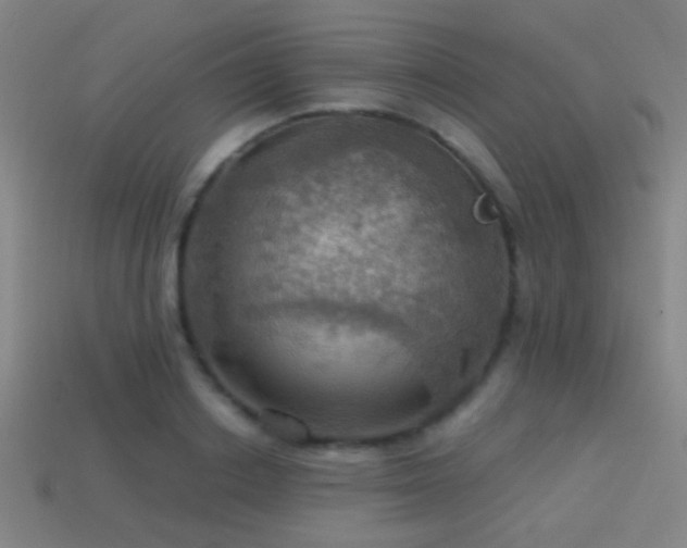 X0000114420842200910161226