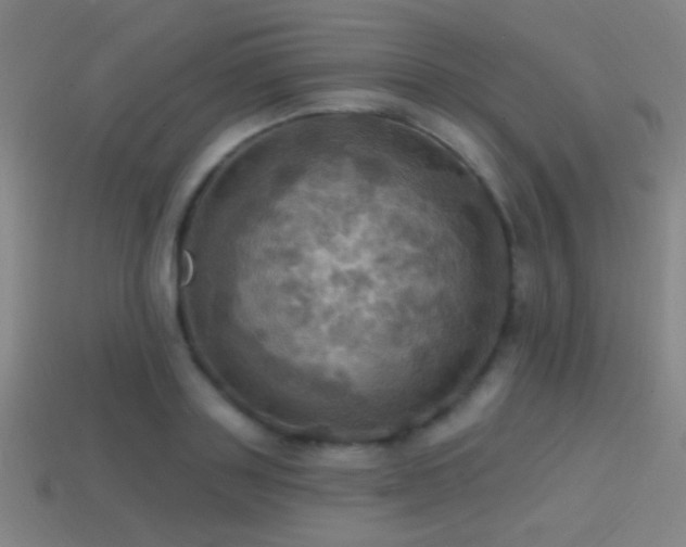 X0000114420843200910161226