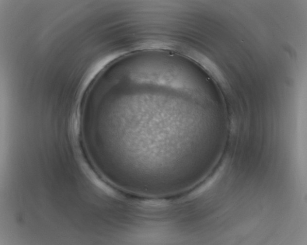 X0000114420844200910161226