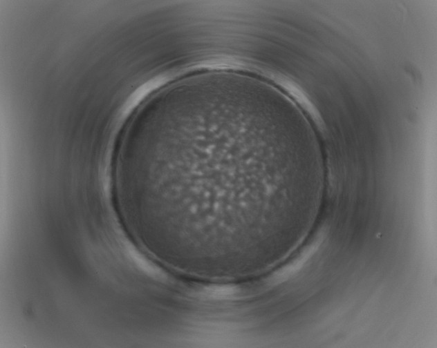 X0000114420845200910161226