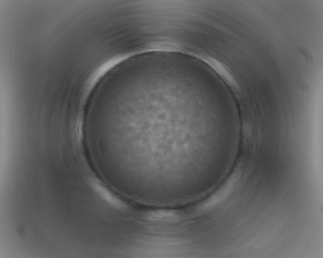 X0000114420846200910161226