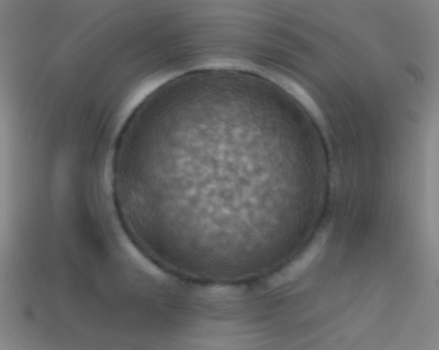 X0000114420847200910161226