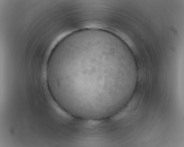 X0000114420848200910161226