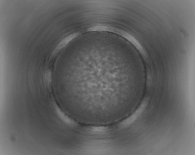 X0000114420849200910161226