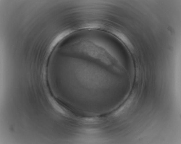 X0000114420850200910161226
