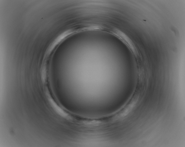 X0000114420851200910161226