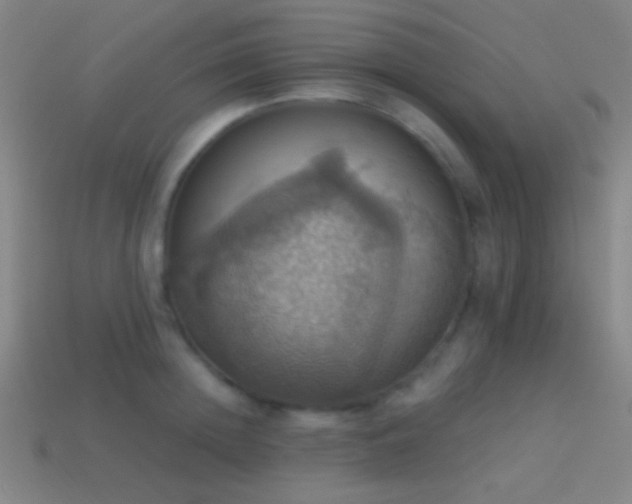 X0000114420852200910161226