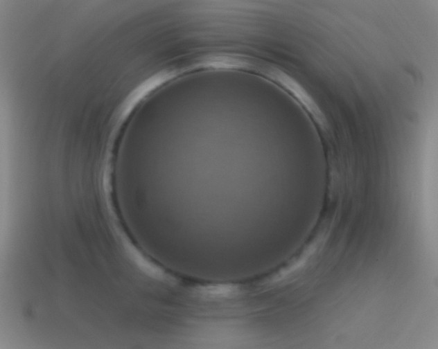 X0000114420853200910161226