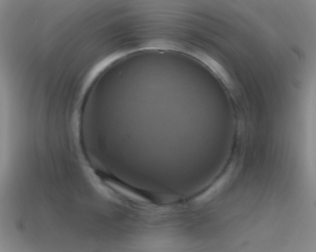 X0000114420854200910161227