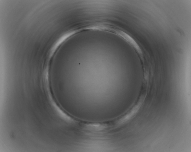 X0000114420855200910161227