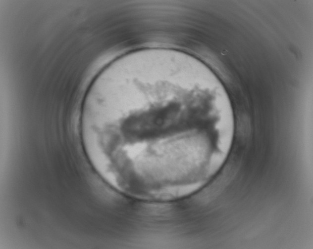X0000114420856200910161227