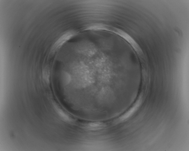 X0000114420857200910161227