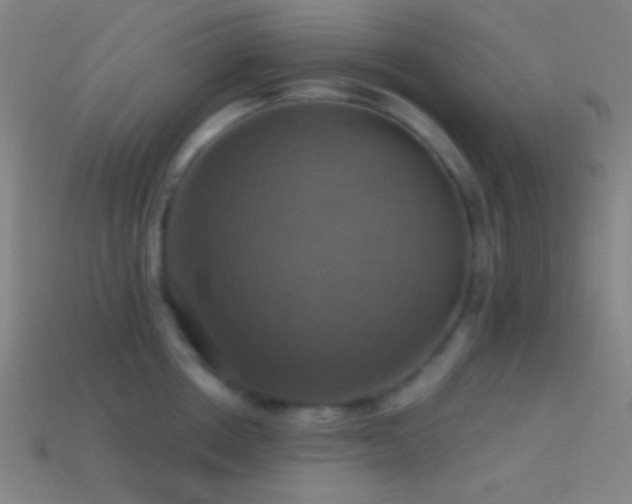 X0000114420858200910161227