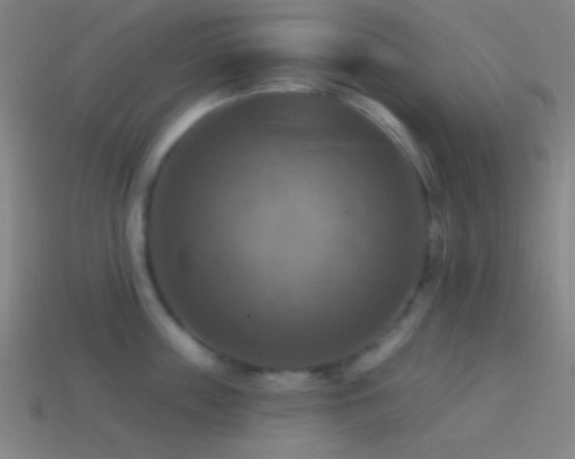 X0000114420859200910161227