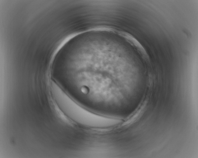 X0000114420860200910161227