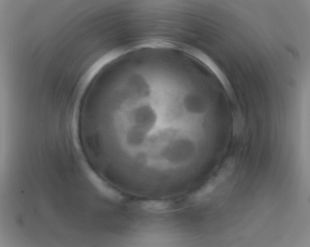 X0000114420861200910161227