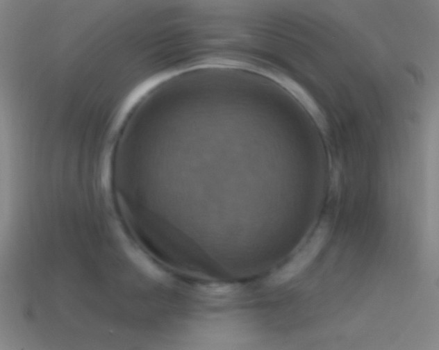 X0000114420862200910161227