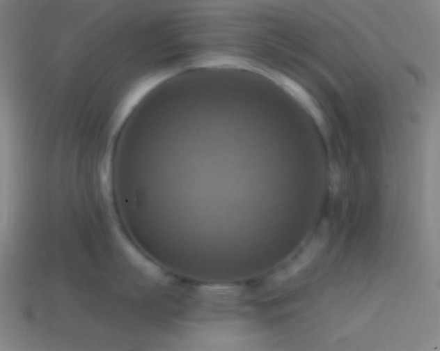 X0000114420863200910161227