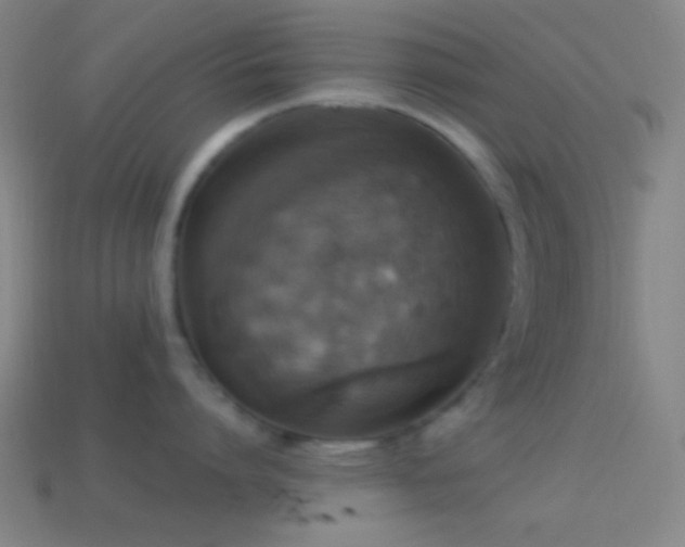 X0000114420864200910161227