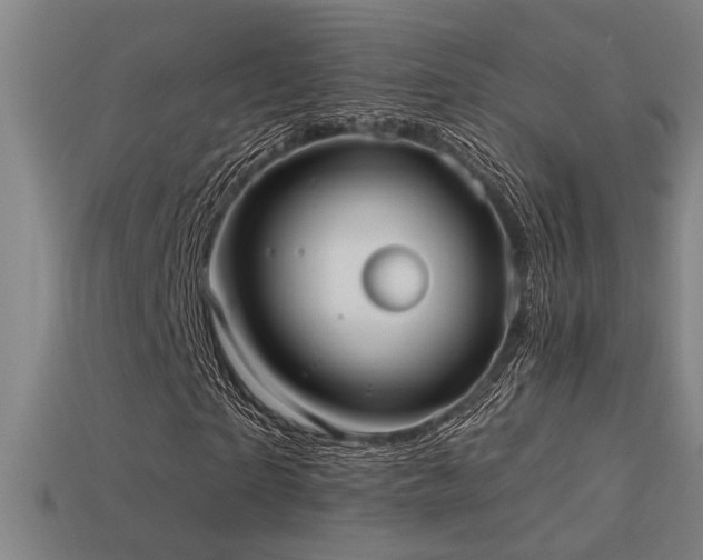 X0000114420865200910161226