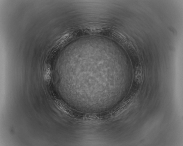 X0000114420866200910161226
