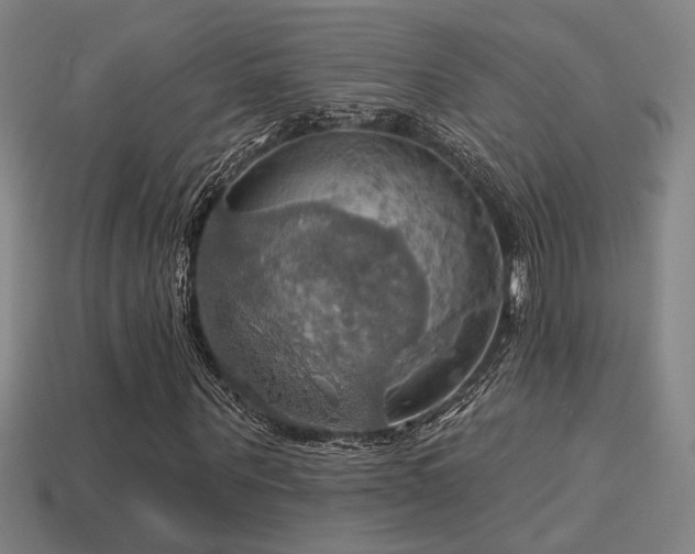 X0000114420867200910161226