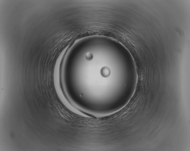 X0000114420868200910161226