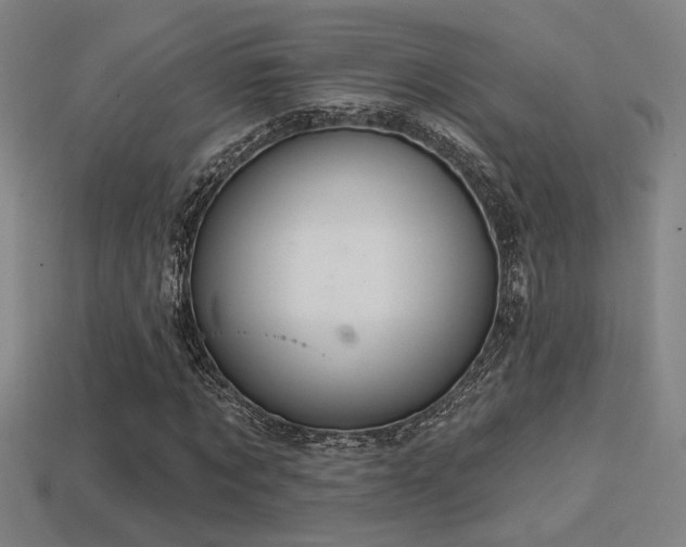 X0000114420869200910161226