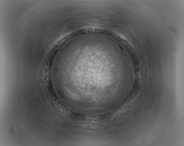 X0000114420870200910161226