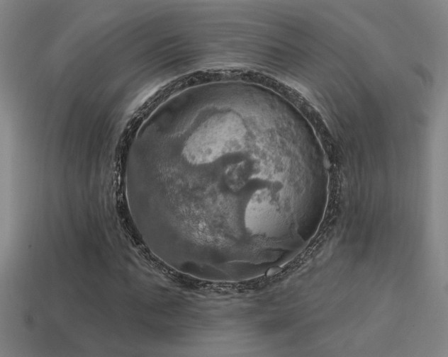 X0000114420871200910161226