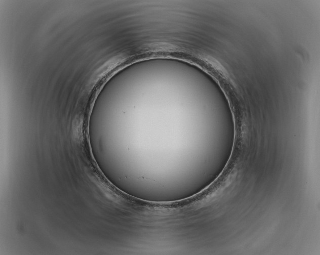 X0000114420873200910161226