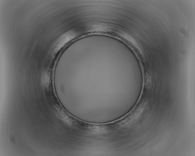 X0000114420874200910161226