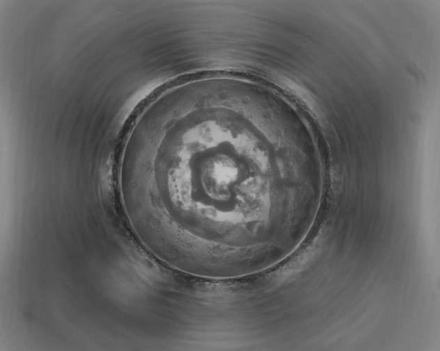 X0000114420875200910161226