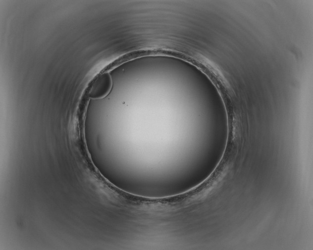 X0000114420876200910161226