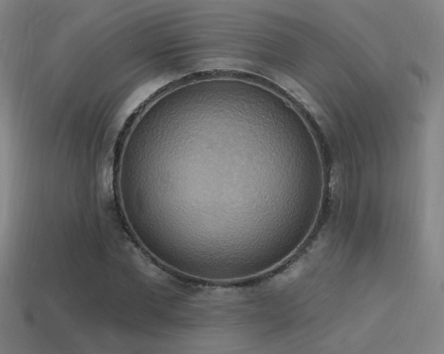 X0000114420877200910161226